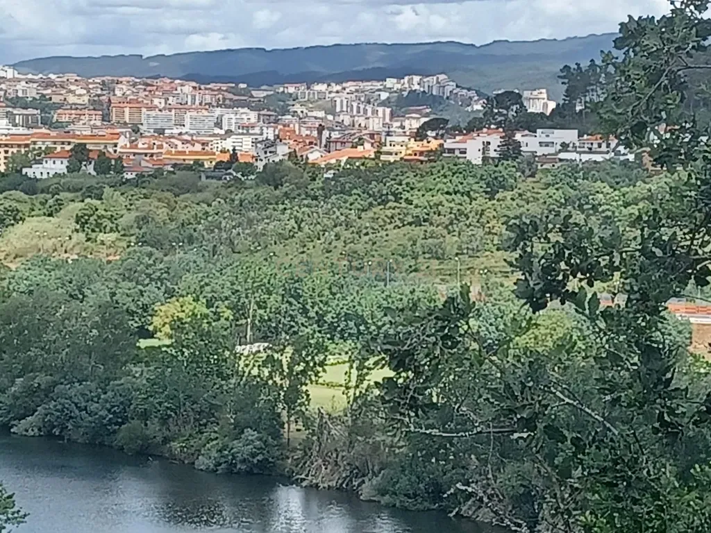 Vendo Quinta em Coimbra - Image 38