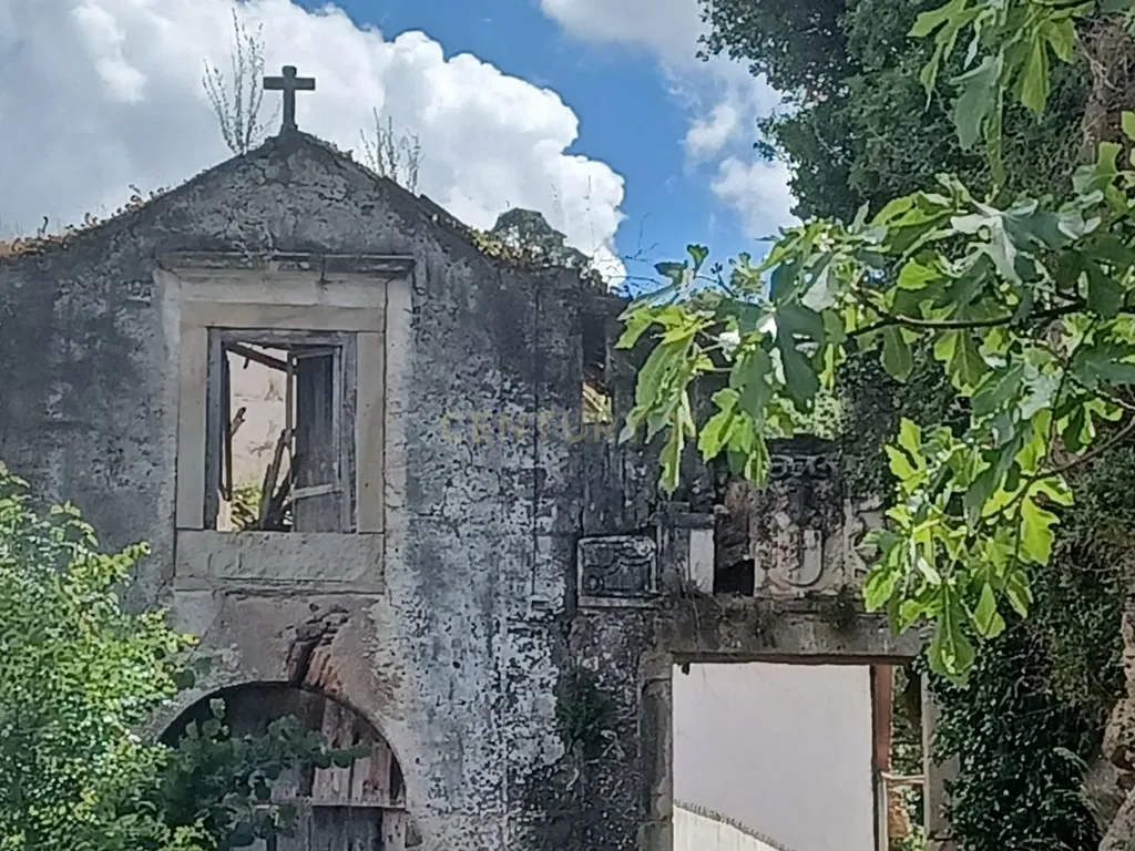 Vendo Quinta em Coimbra - Image 3