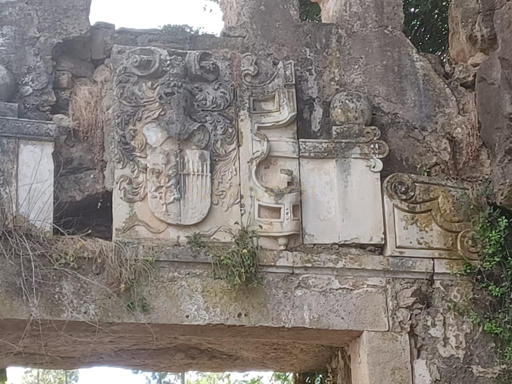 Vendo Quinta em Coimbra - Image 1