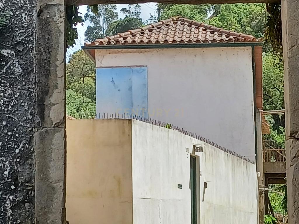 Vendo Quinta em Coimbra - Image 8