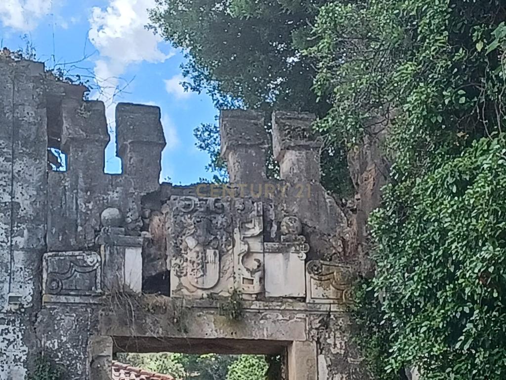 Vendo Quinta em Coimbra - Image 2