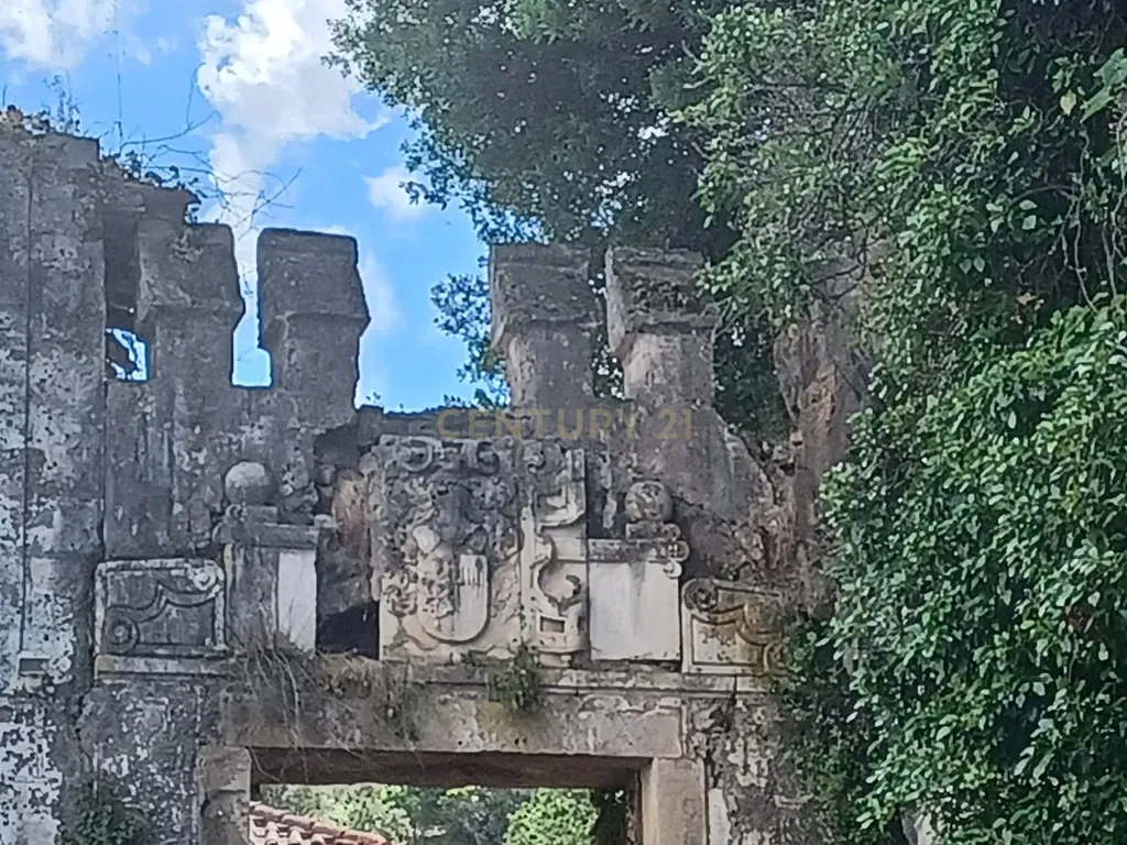 Vendo Quinta em Coimbra - Image 2