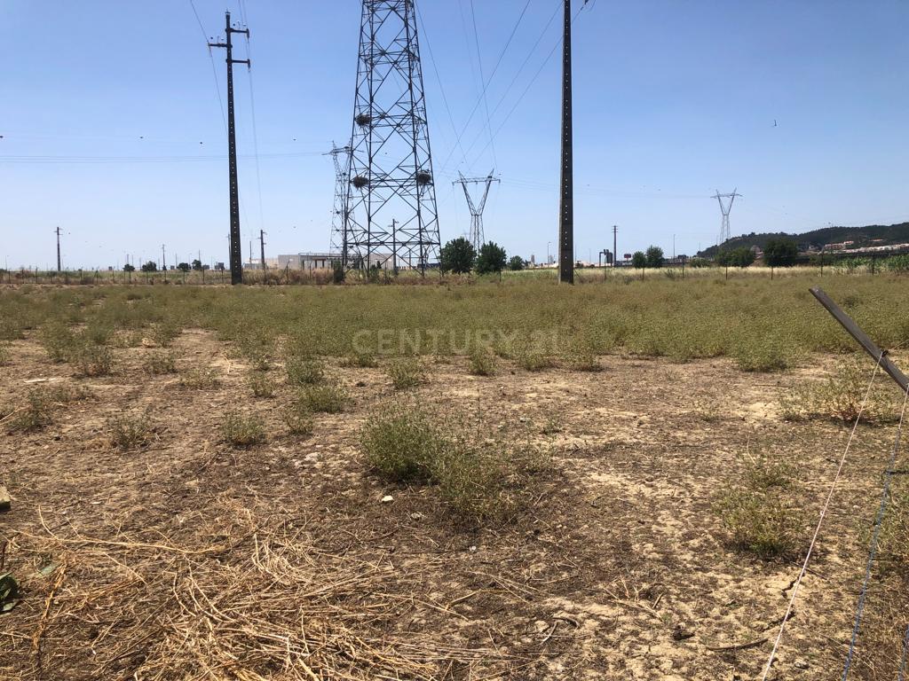 Terreno de 3Ha - Plataforma Logística Lisboa Norte - Image 6