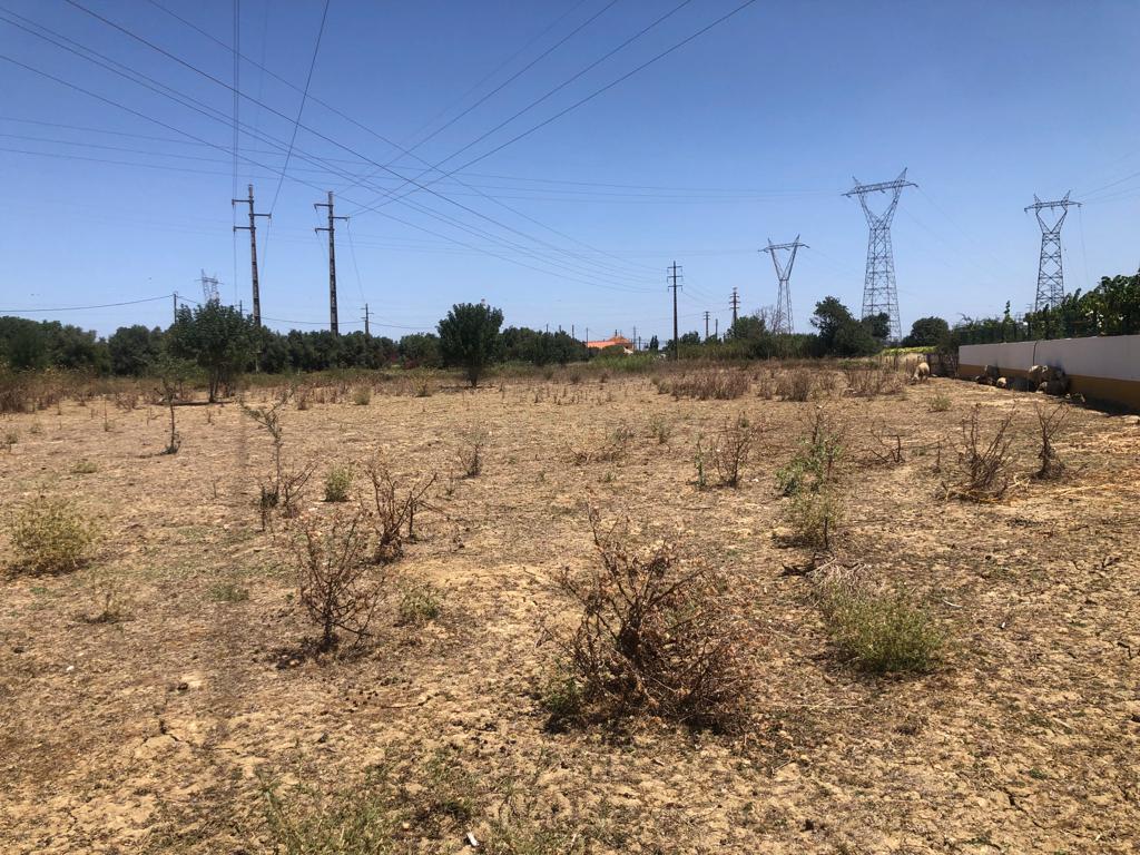 Terreno de 3Ha - Plataforma Logística Lisboa Norte - Image 25