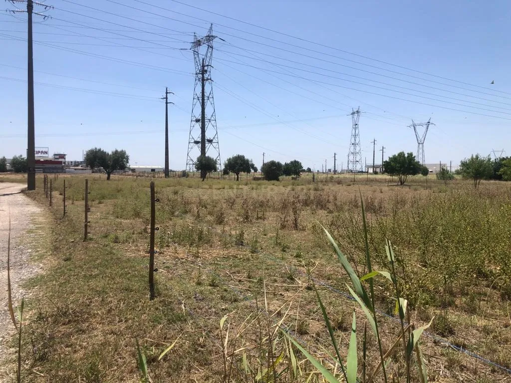 Terreno de 3Ha - Plataforma Logística Lisboa Norte - Image 24