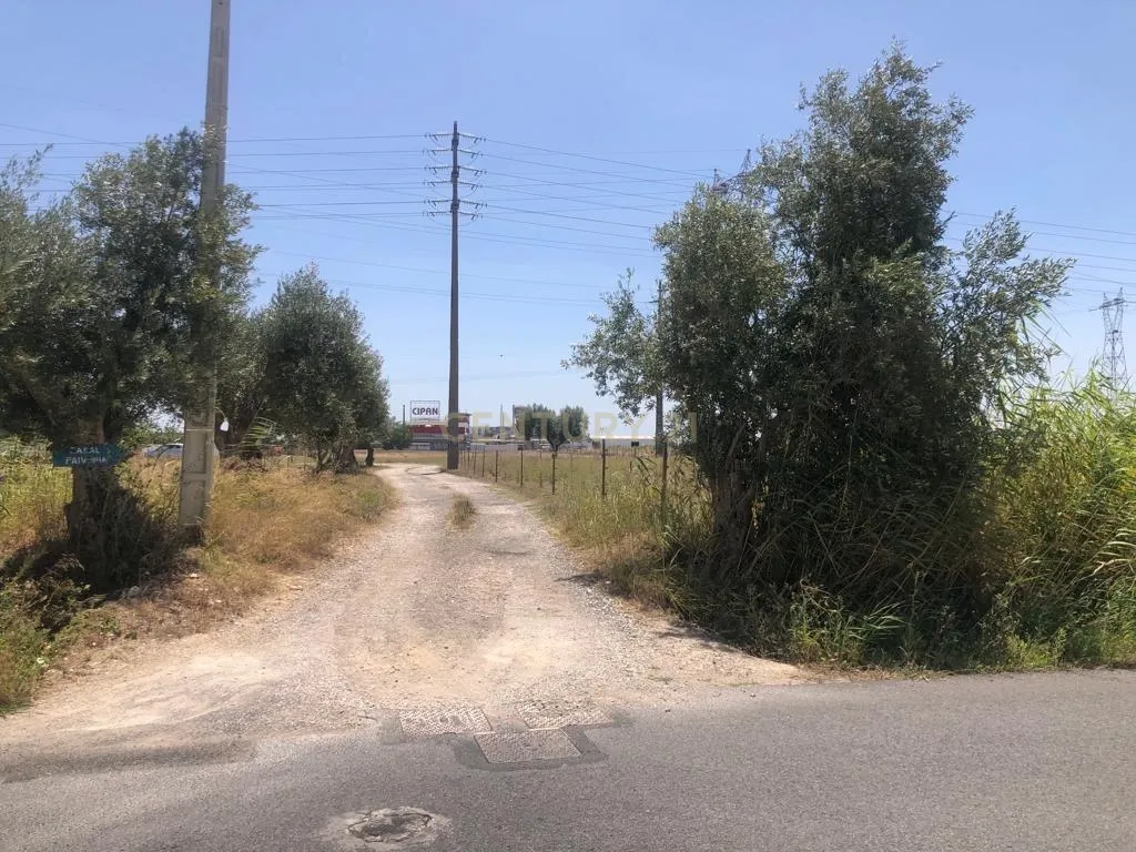 Terreno de 3Ha - Plataforma Logística Lisboa Norte - Image 4
