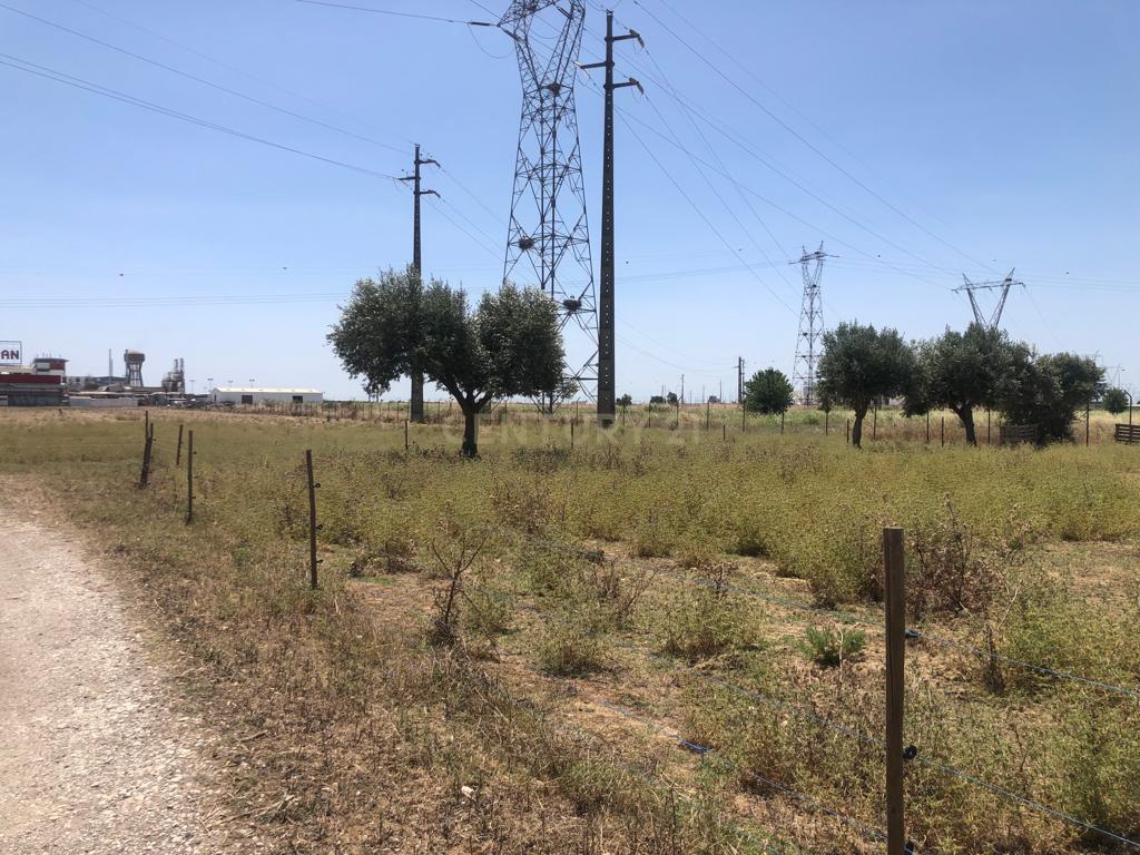 Terreno de 3Ha - Plataforma Logística Lisboa Norte - Image 10