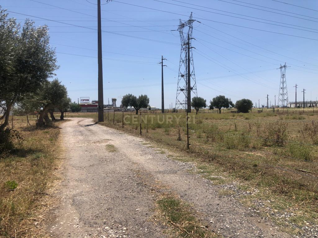 Terreno de 3Ha - Plataforma Logística Lisboa Norte - Image 11