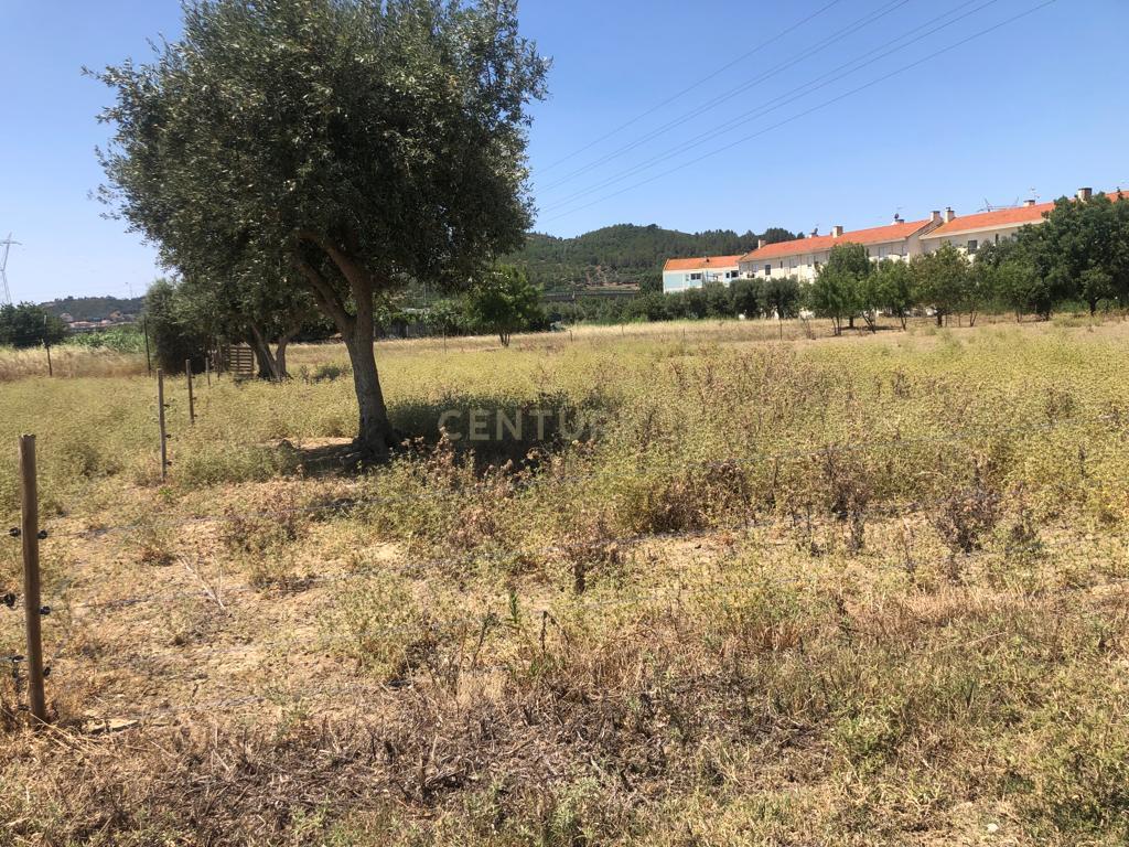 Terreno de 3Ha - Plataforma Logística Lisboa Norte - Image 23