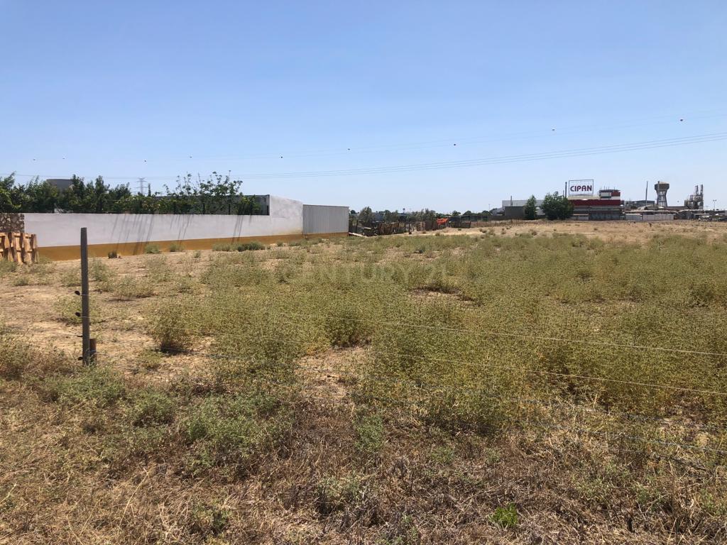 Terreno de 3Ha - Plataforma Logística Lisboa Norte - Image 17