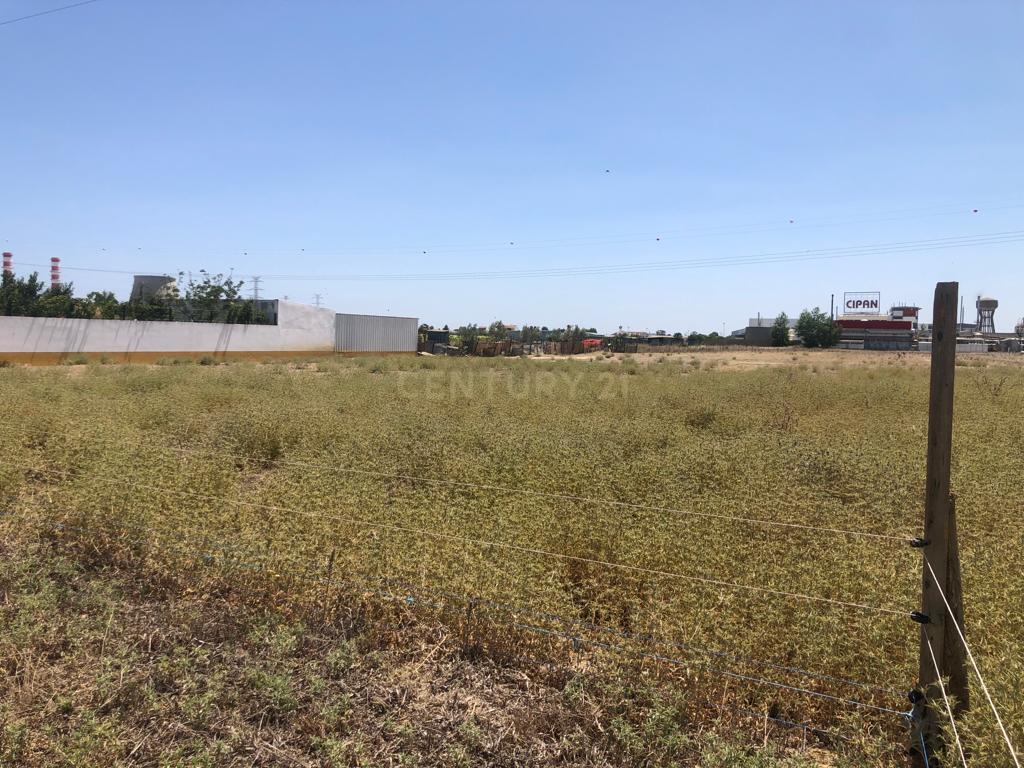 Terreno de 3Ha - Plataforma Logística Lisboa Norte - Image 18