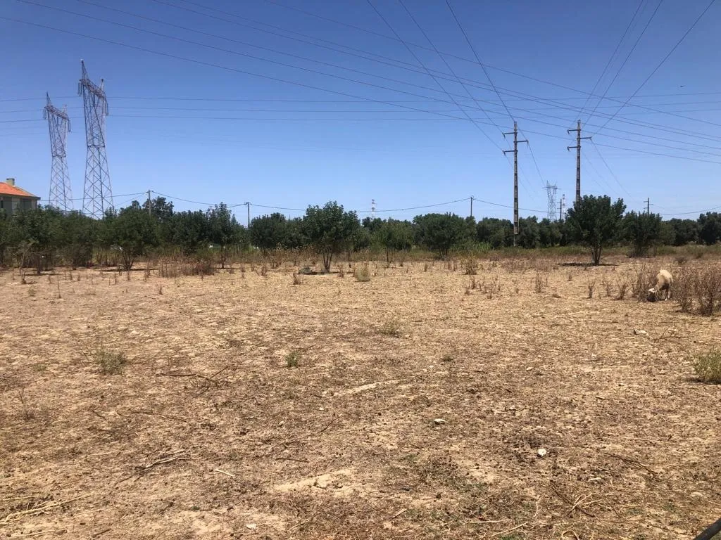 Terreno de 3Ha - Plataforma Logística Lisboa Norte - Image 20