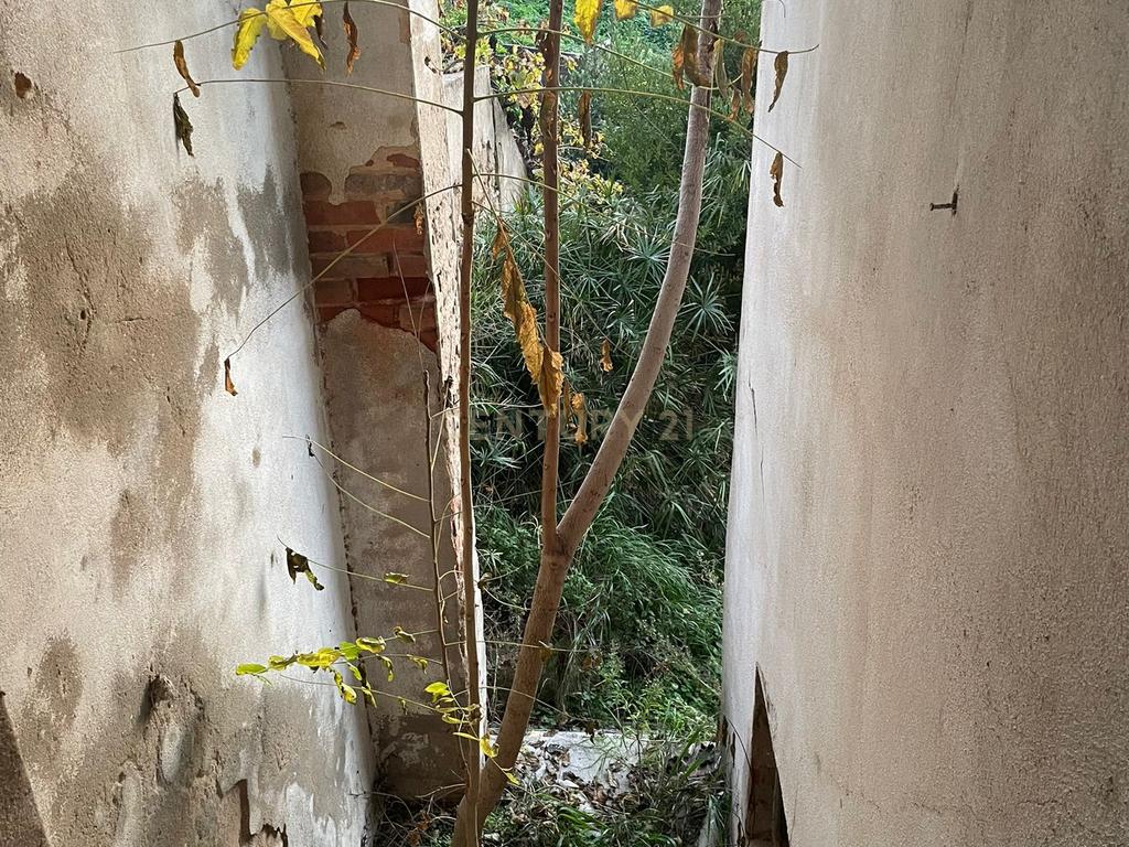Prédio com 3 pisos e logradouro para remodelação total e localizado em zona central de Santarém - Image 8