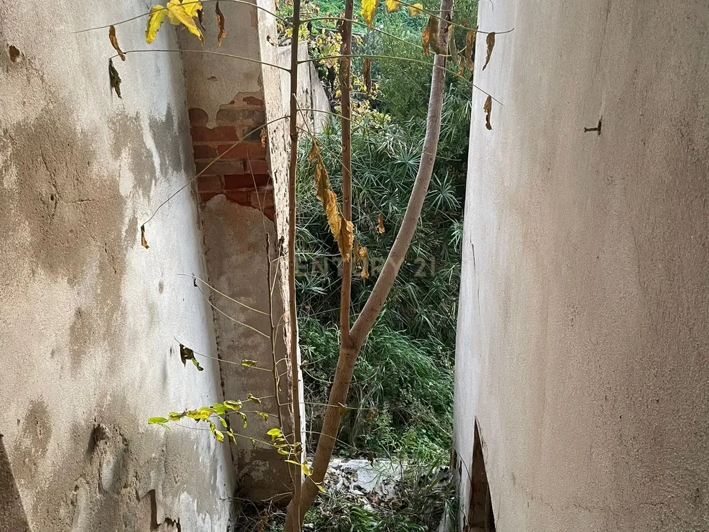 Prédio com 3 pisos e logradouro para remodelação total e localizado em zona central de Santarém - Image 8