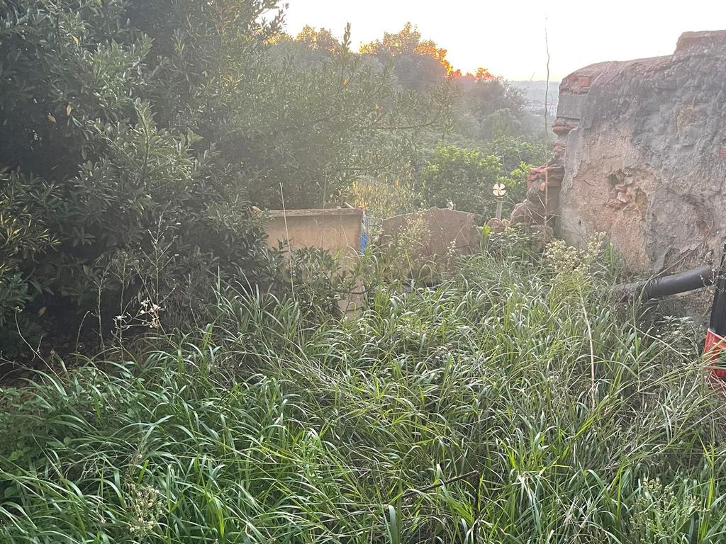 Prédio com 3 pisos e logradouro para remodelação total e localizado em zona central de Santarém - Image 7