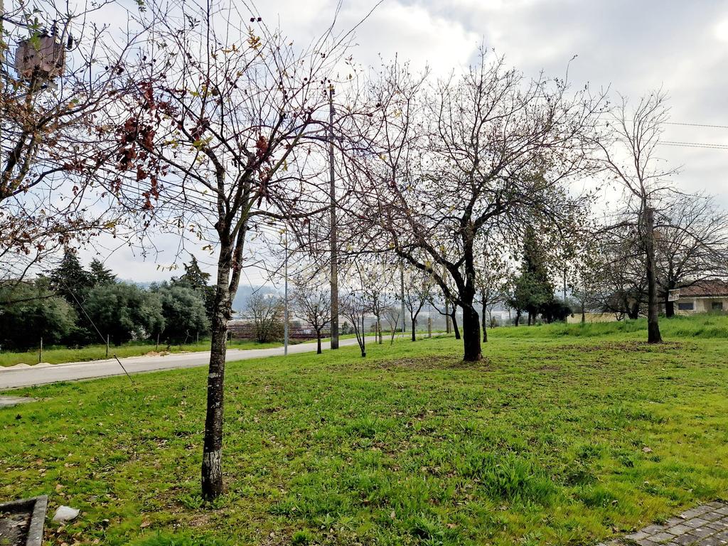 Lote para moradia em Banda|| Pombal - Image 12
