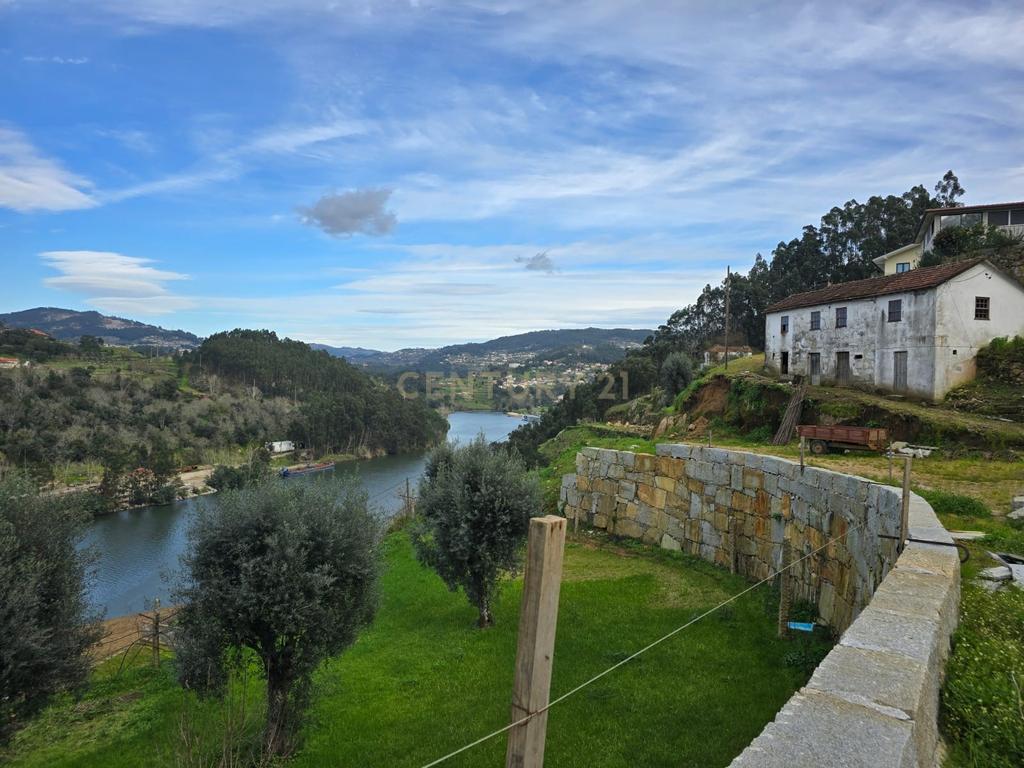 QUINTA COM MARGEM RIO DOURO - Image 2