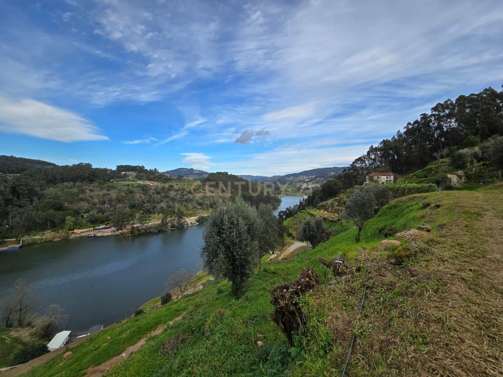 QUINTA COM MARGEM RIO DOURO - Image 4