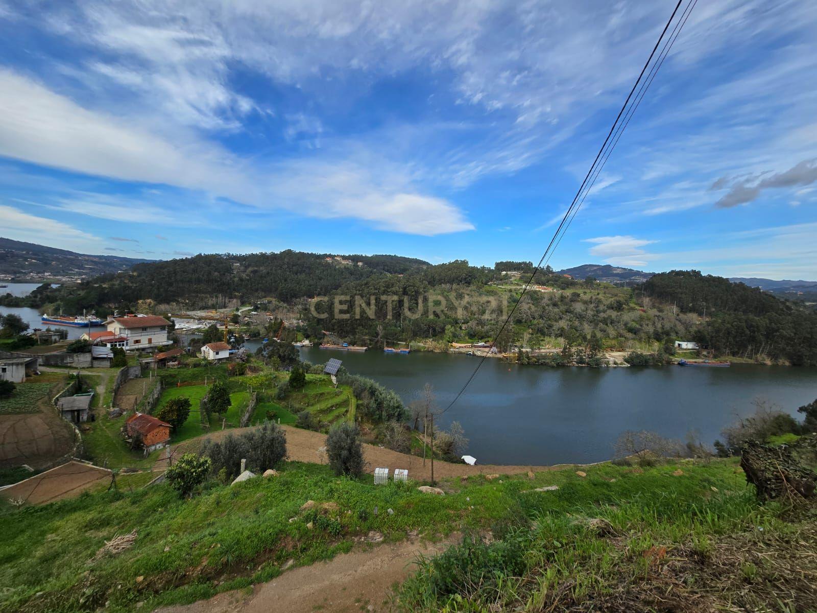 QUINTA COM MARGEM RIO DOURO - Image 3