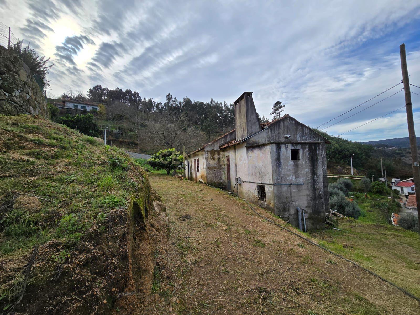 QUINTA COM MARGEM RIO DOURO - Image 24