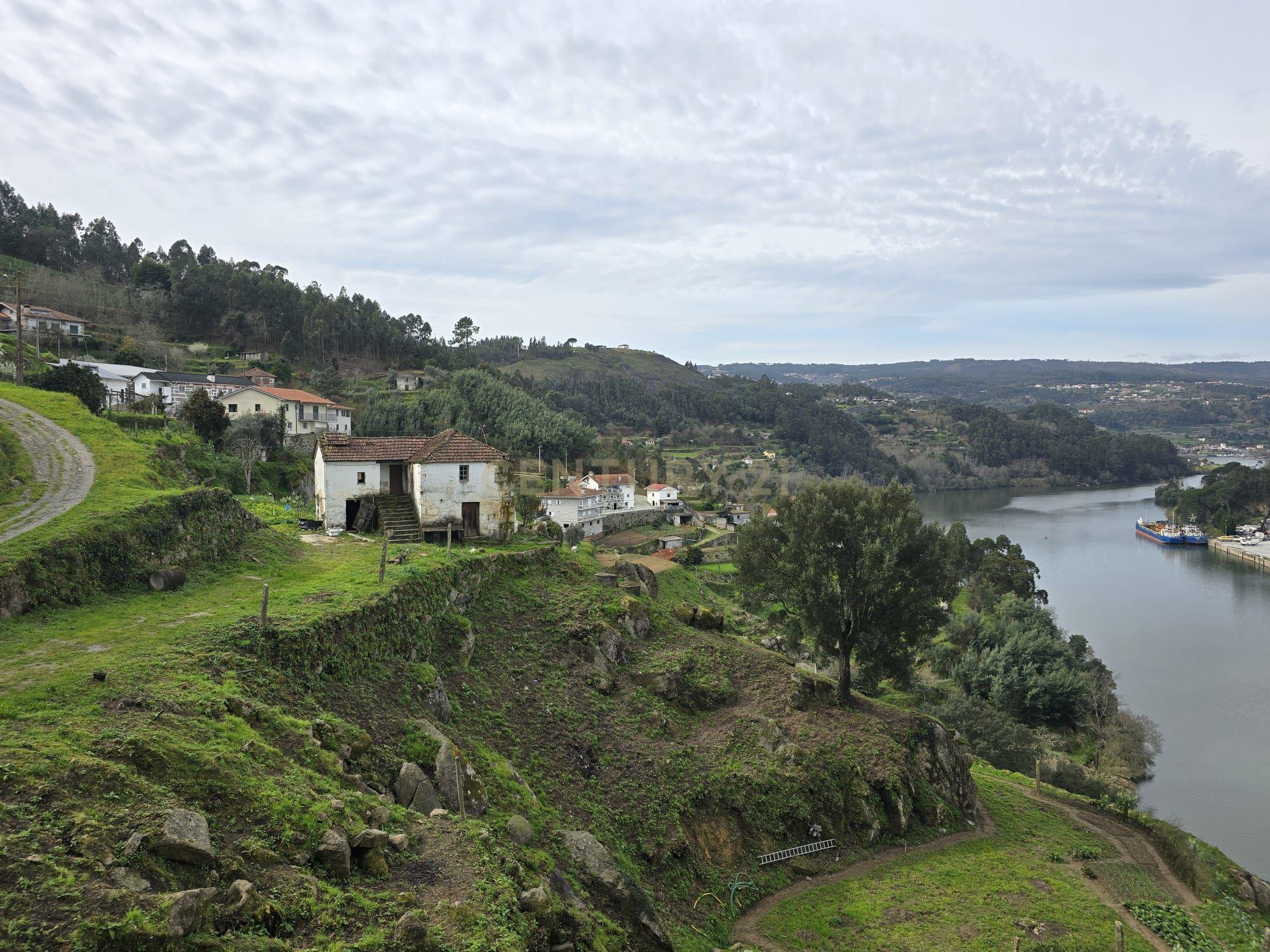 QUINTA COM MARGEM RIO DOURO - Image 15