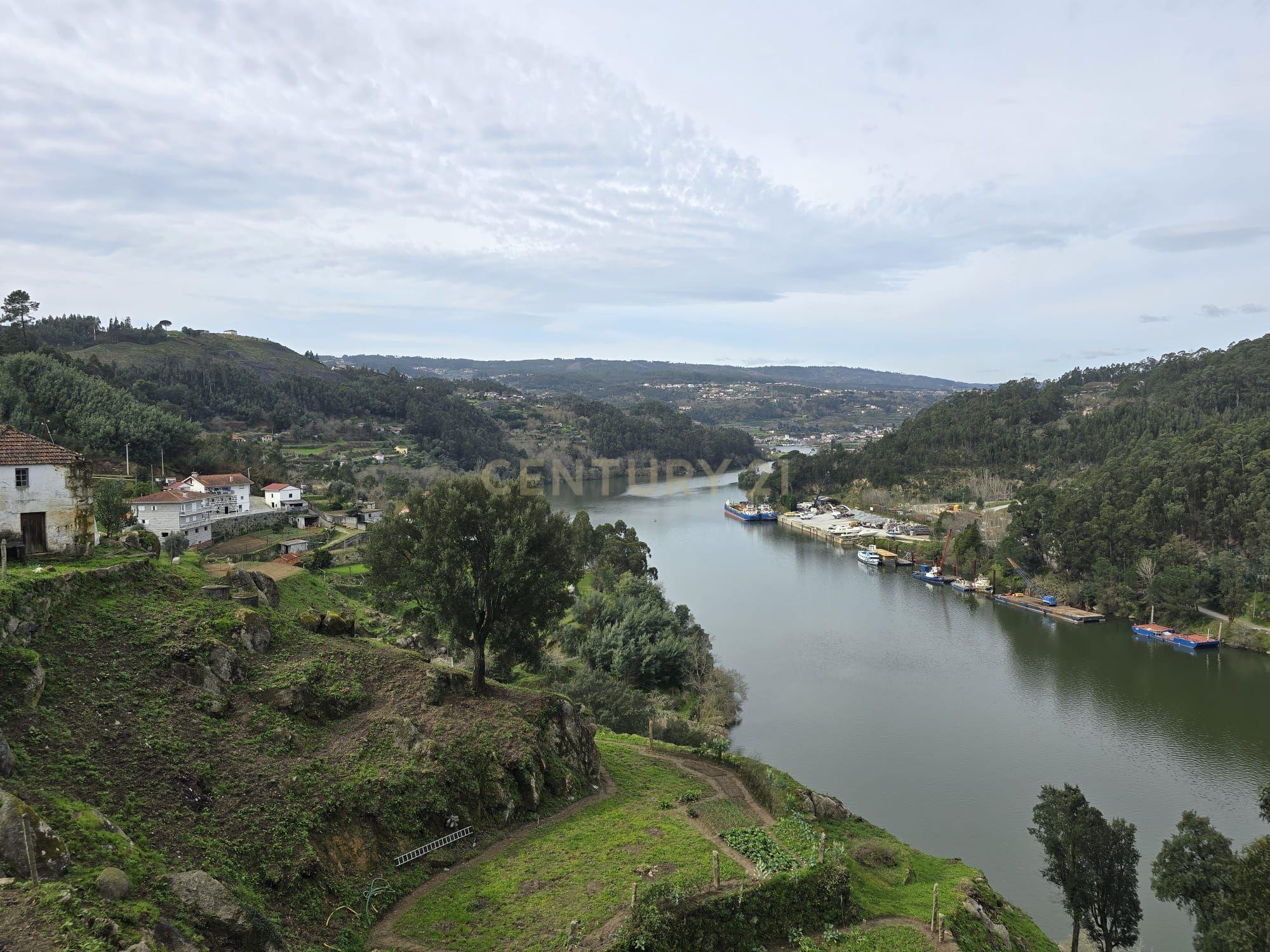 QUINTA COM MARGEM RIO DOURO - Image 14