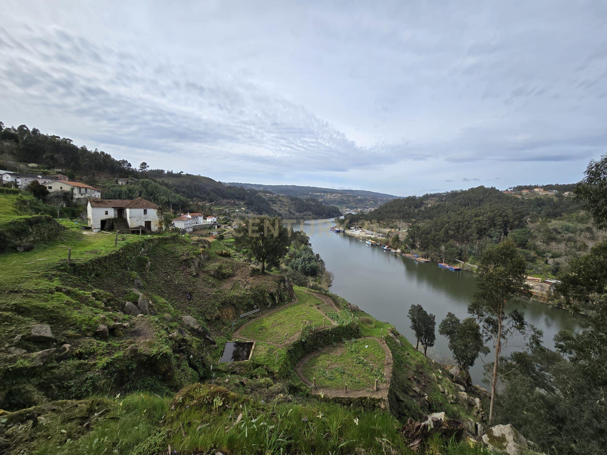 QUINTA COM MARGEM RIO DOURO - Image 21