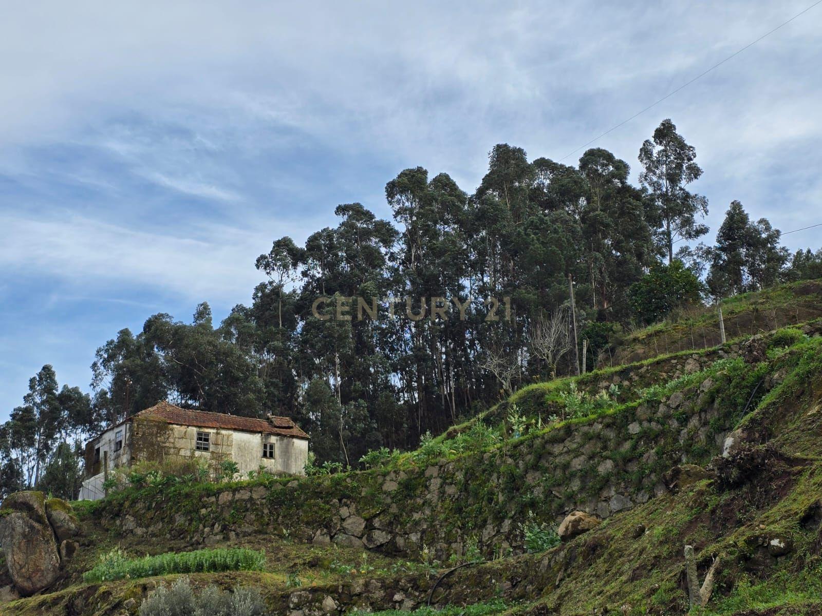 QUINTA COM MARGEM RIO DOURO - Image 23