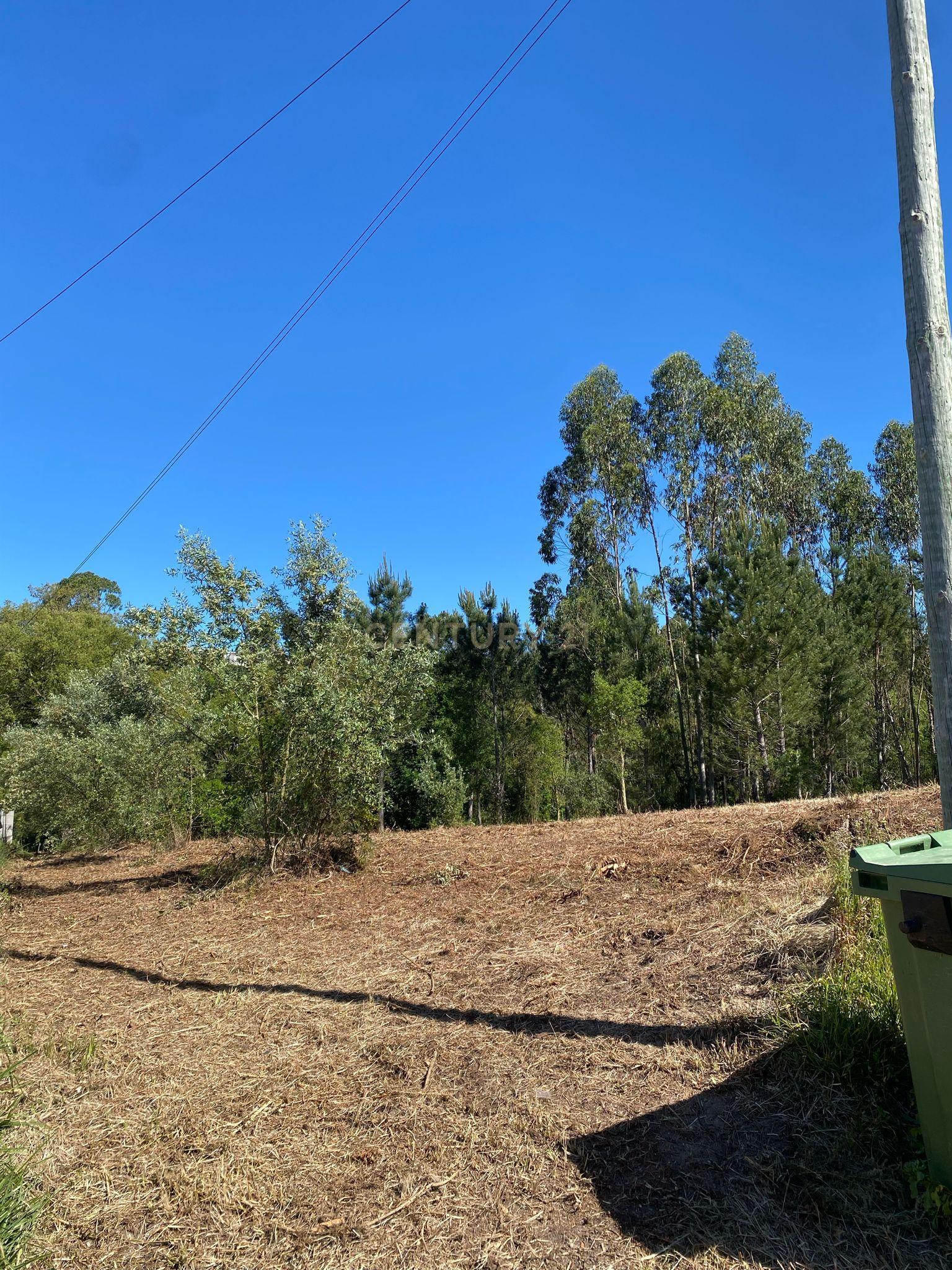 Terreno para construção em Castanheira de Alcobaça - Image 4