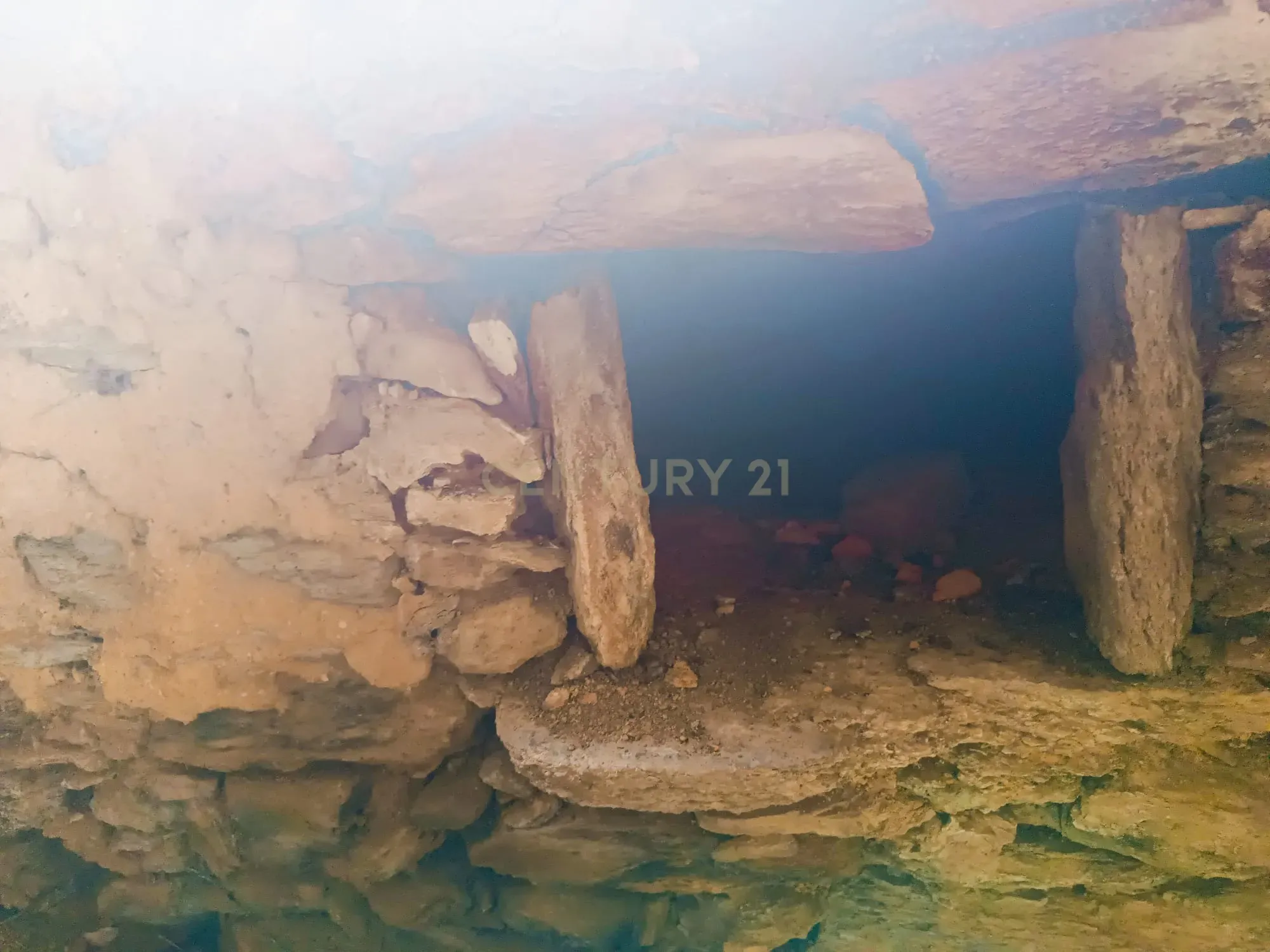 Magníficos terrenos com vista para o Rio Zêzere e a Albufeira de Castelo de Bode - DESCIDA DE PREÇO - Image 19