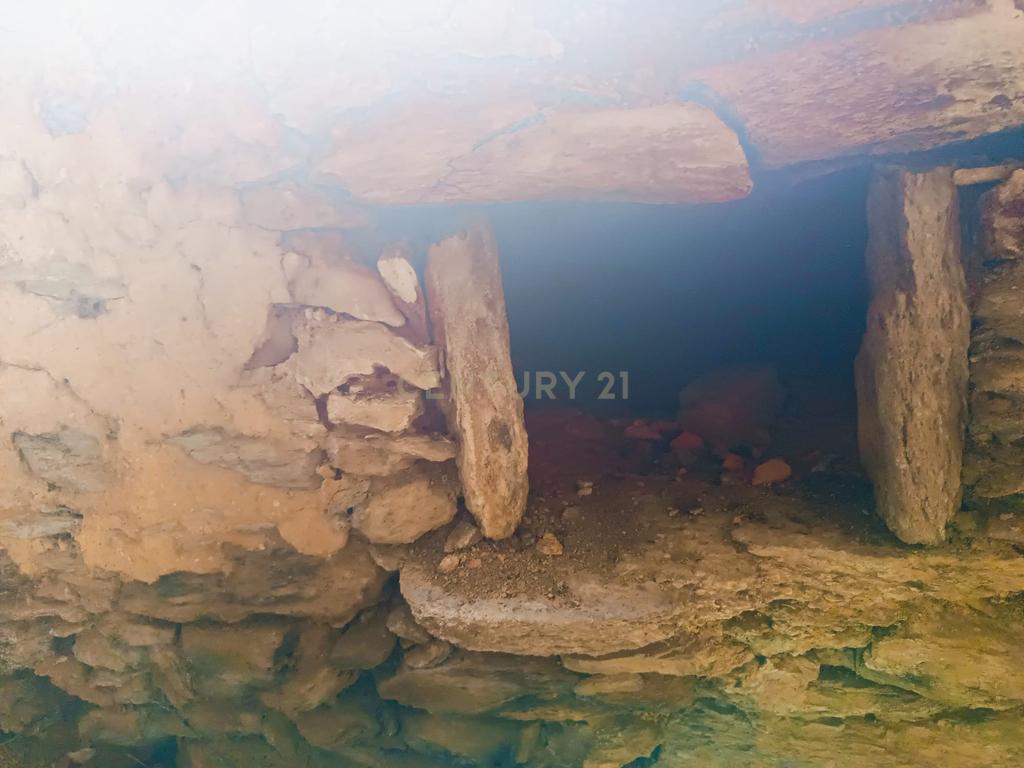 Magníficos terrenos com vista para o Rio Zêzere e a Albufeira de Castelo de Bode - DESCIDA DE PREÇO - Image 19