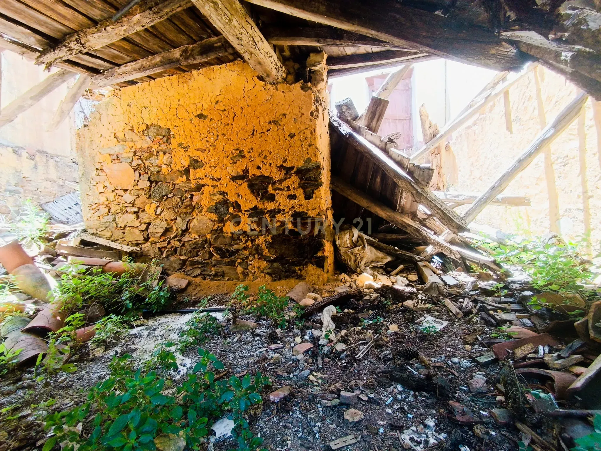 Magníficos terrenos com vista para o Rio Zêzere e a Albufeira de Castelo de Bode - DESCIDA DE PREÇO - Image 14