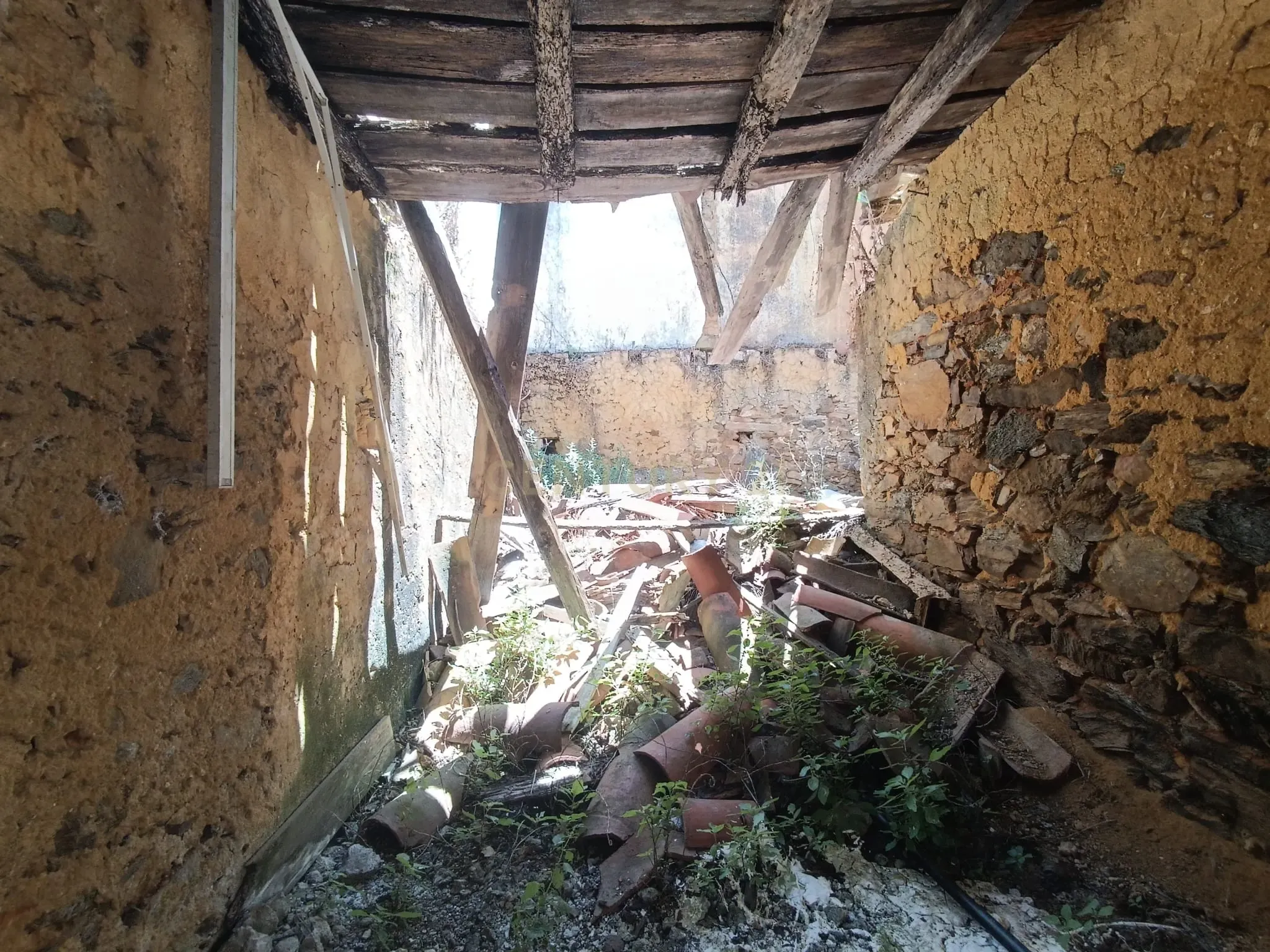 Magníficos terrenos com vista para o Rio Zêzere e a Albufeira de Castelo de Bode - DESCIDA DE PREÇO - Image 26