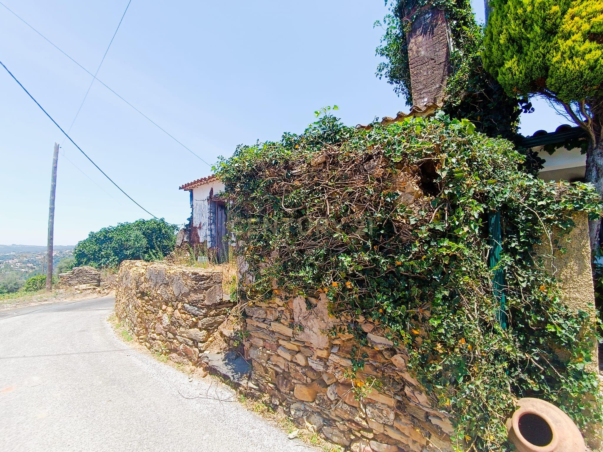 Magníficos terrenos com vista para o Rio Zêzere e a Albufeira de Castelo de Bode - DESCIDA DE PREÇO - Image 27