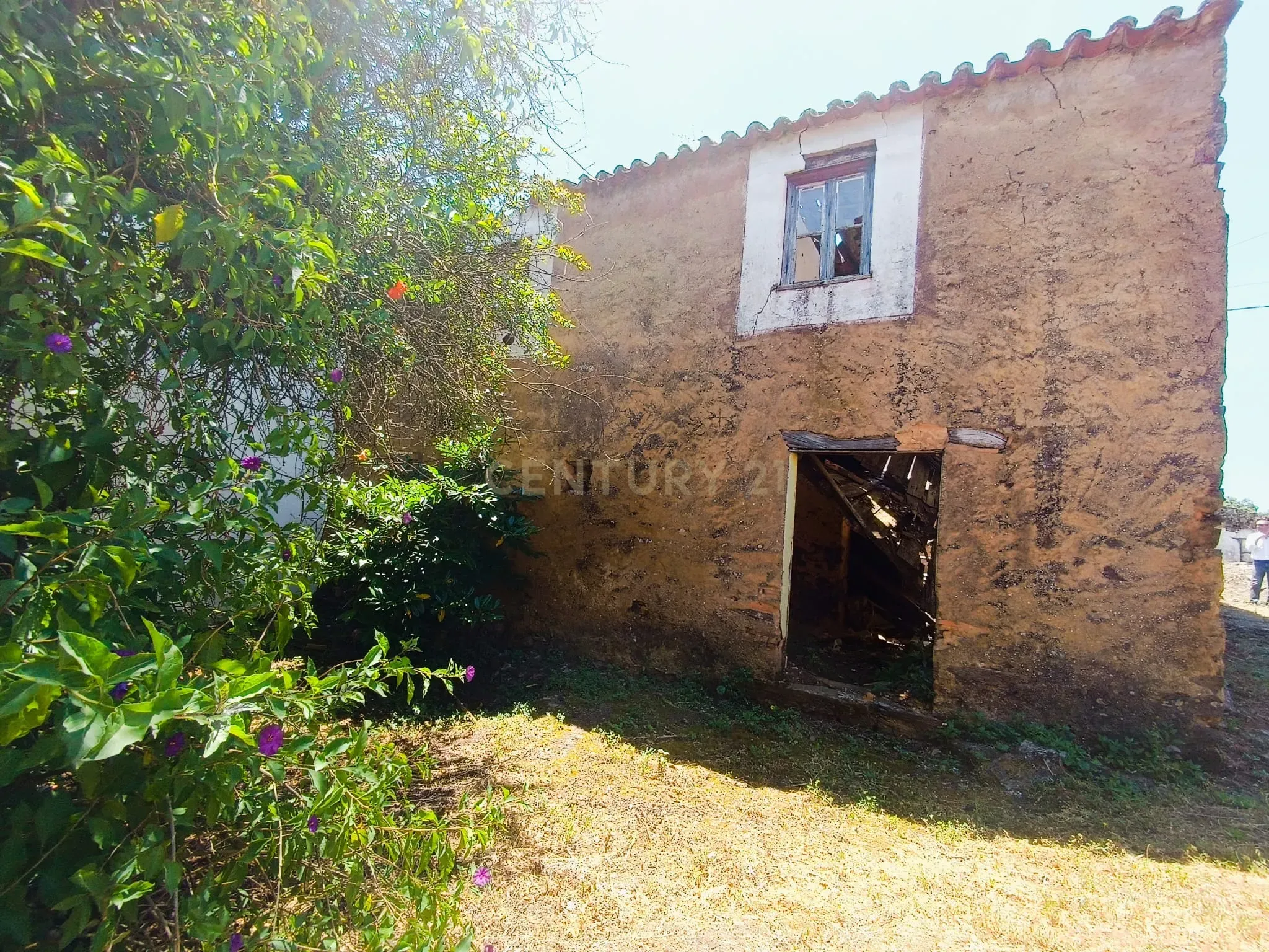 Magníficos terrenos com vista para o Rio Zêzere e a Albufeira de Castelo de Bode - DESCIDA DE PREÇO - Image 30