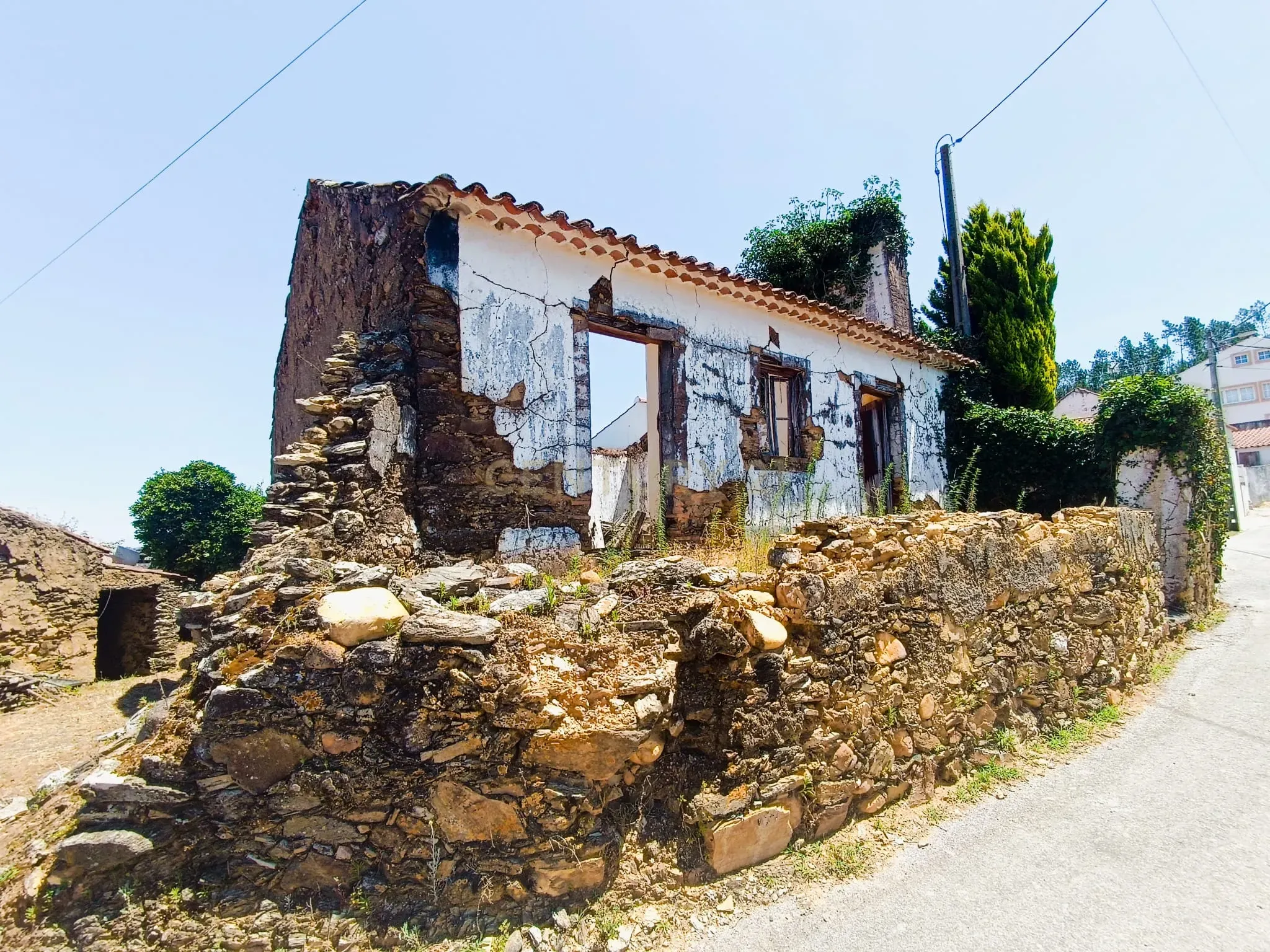 Magníficos terrenos com vista para o Rio Zêzere e a Albufeira de Castelo de Bode - DESCIDA DE PREÇO - Image 11