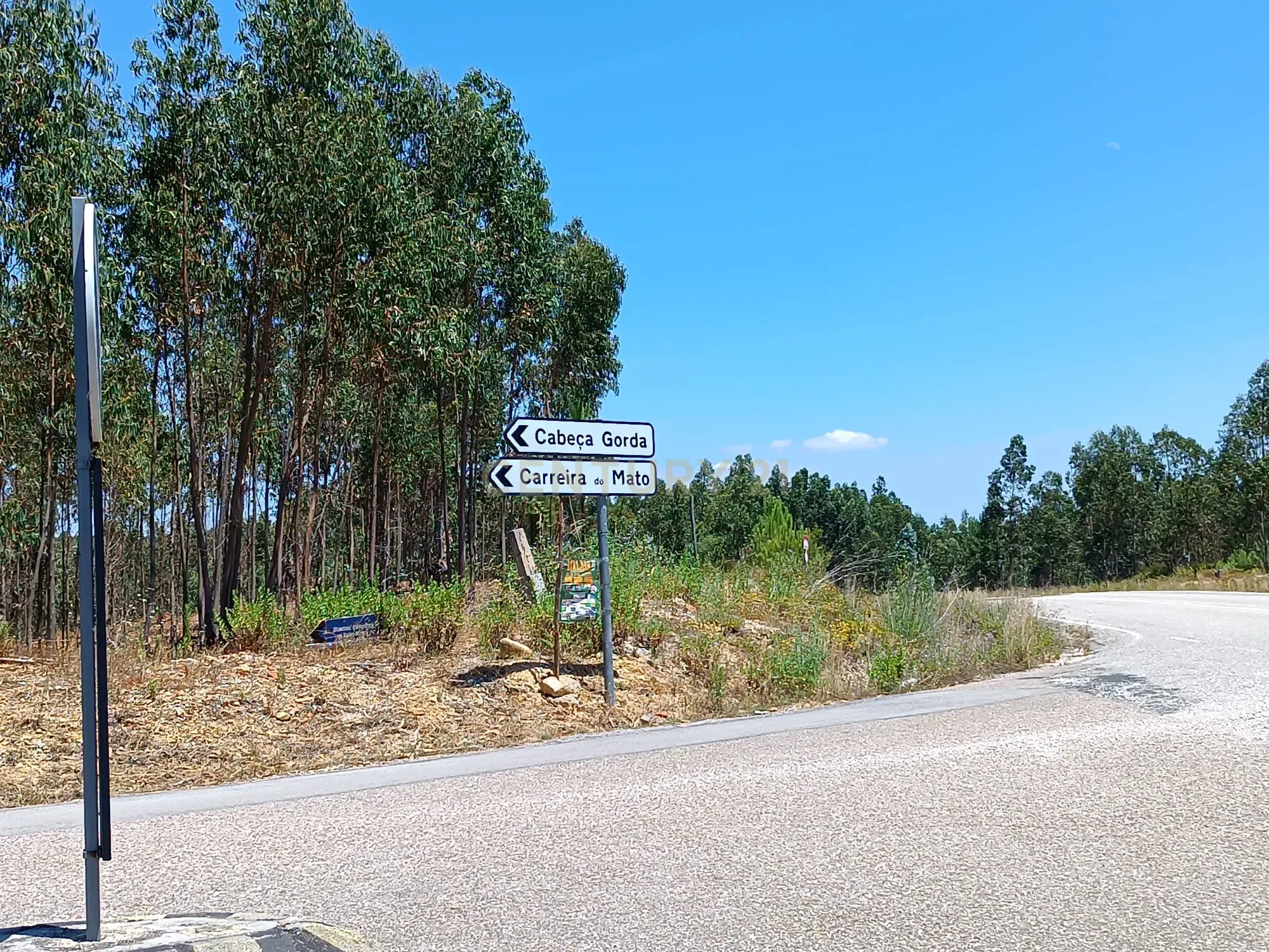 Magníficos terrenos com vista para o Rio Zêzere e a Albufeira de Castelo de Bode - DESCIDA DE PREÇO - Image 41
