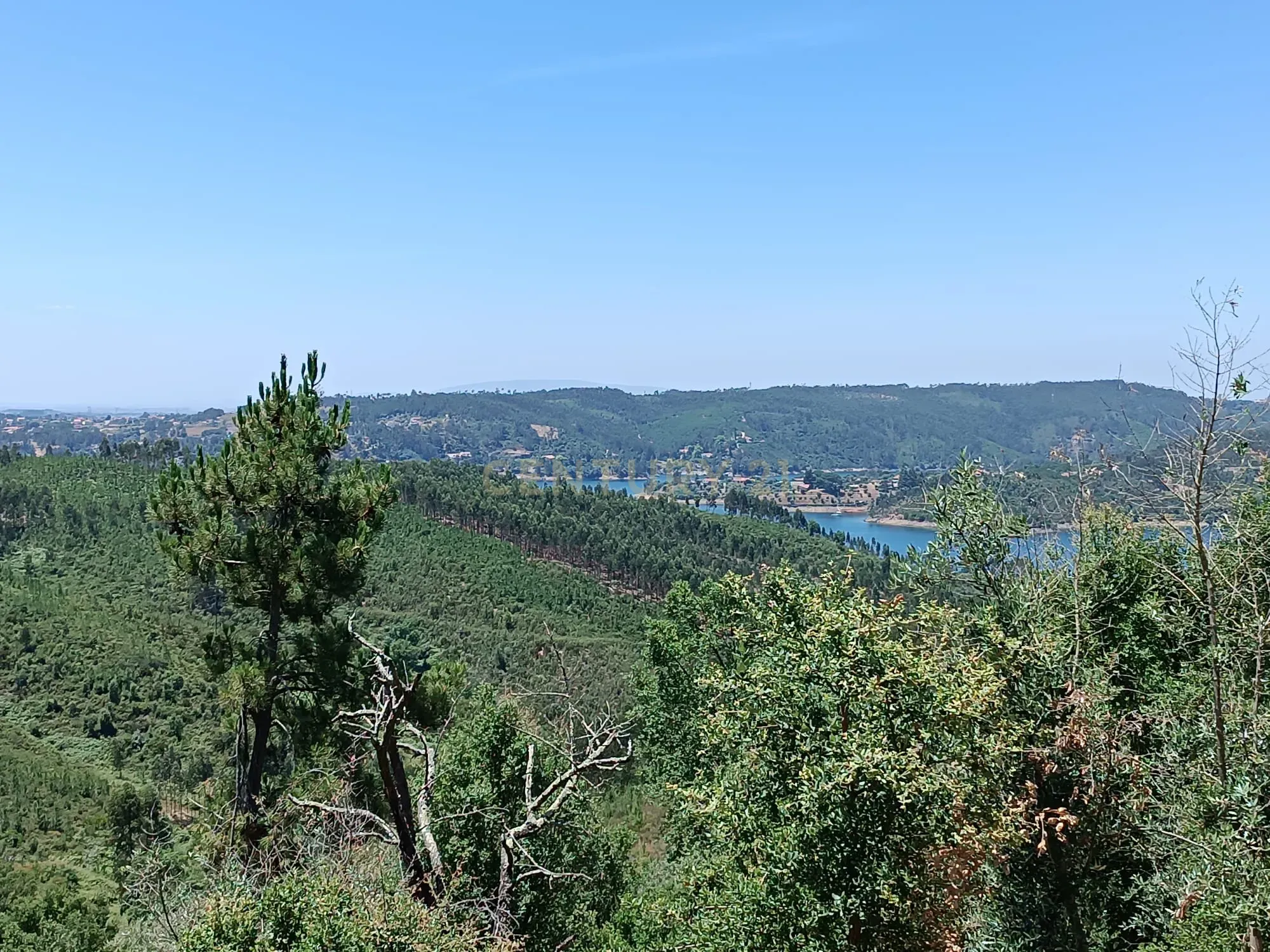 Magníficos terrenos com vista para o Rio Zêzere e a Albufeira de Castelo de Bode - DESCIDA DE PREÇO - Image 40