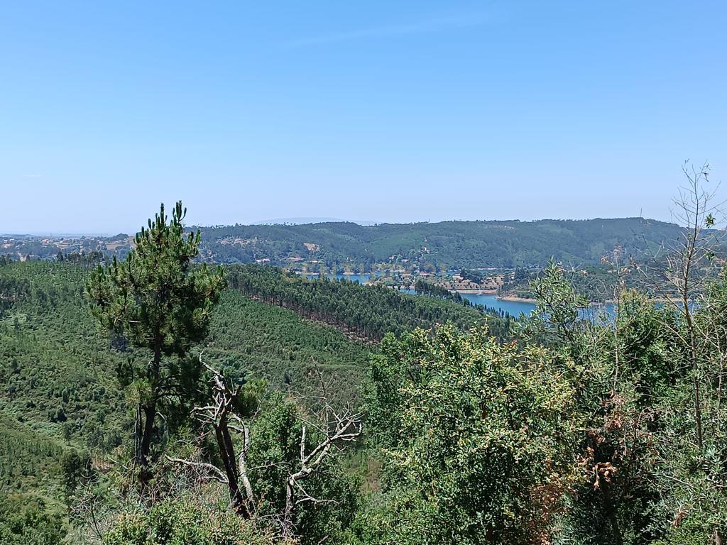 Magníficos terrenos com vista para o Rio Zêzere e a Albufeira de Castelo de Bode - DESCIDA DE PREÇO - Image 40
