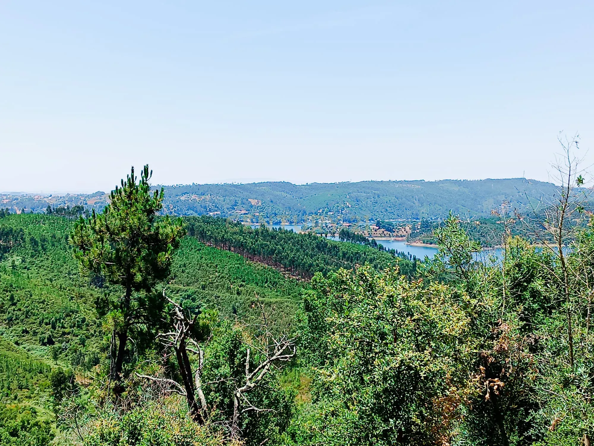 Magníficos terrenos com vista para o Rio Zêzere e a Albufeira de Castelo de Bode - DESCIDA DE PREÇO - Image 31