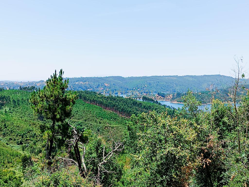 Magníficos terrenos com vista para o Rio Zêzere e a Albufeira de Castelo de Bode - DESCIDA DE PREÇO - Image 31