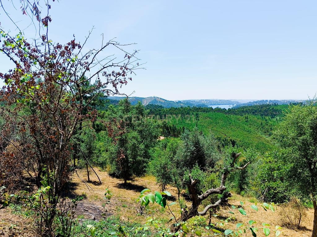 Magníficos terrenos com vista para o Rio Zêzere e a Albufeira de Castelo de Bode - DESCIDA DE PREÇO - Image 36