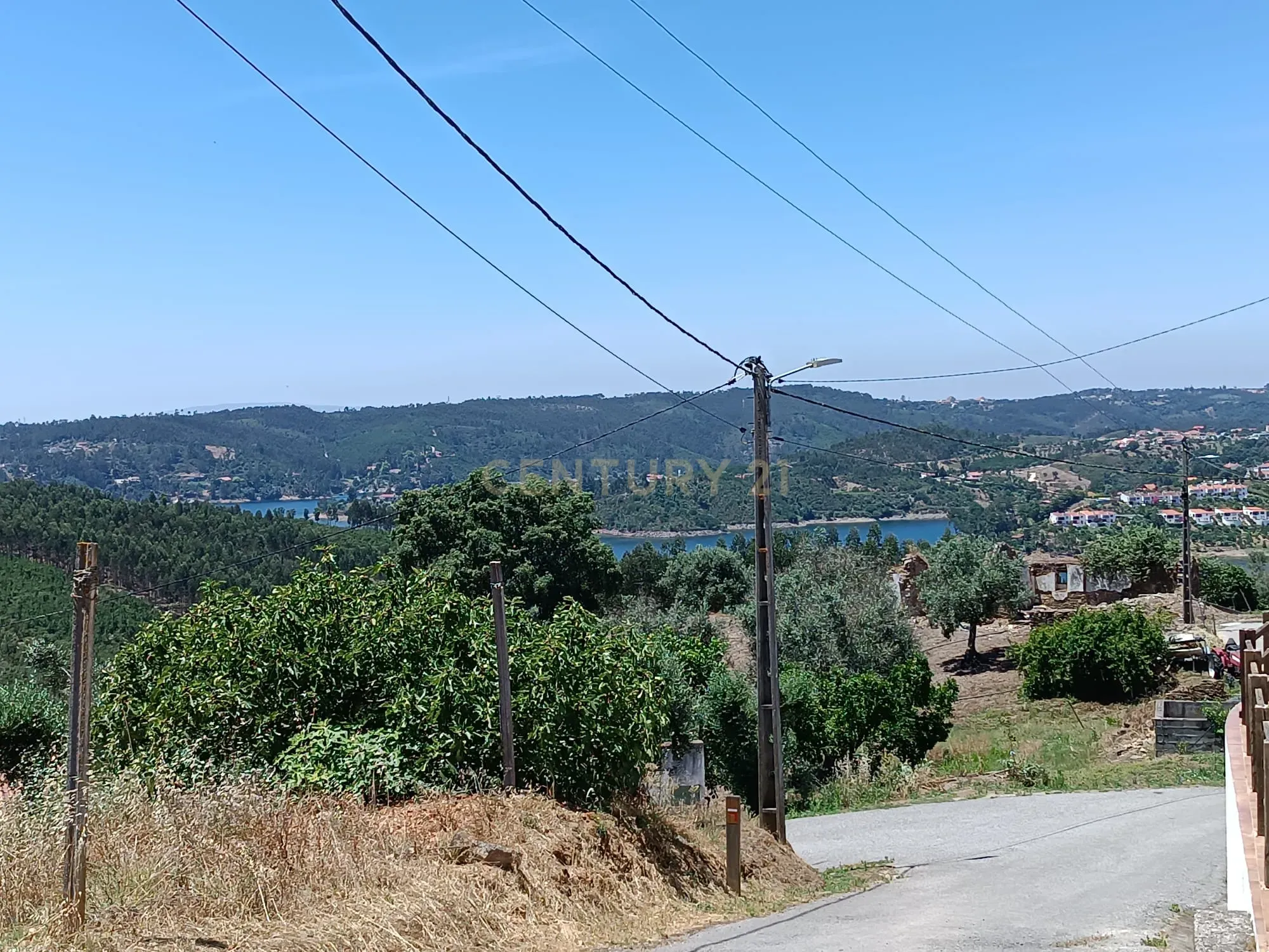 Magníficos terrenos com vista para o Rio Zêzere e a Albufeira de Castelo de Bode - DESCIDA DE PREÇO - Image 34