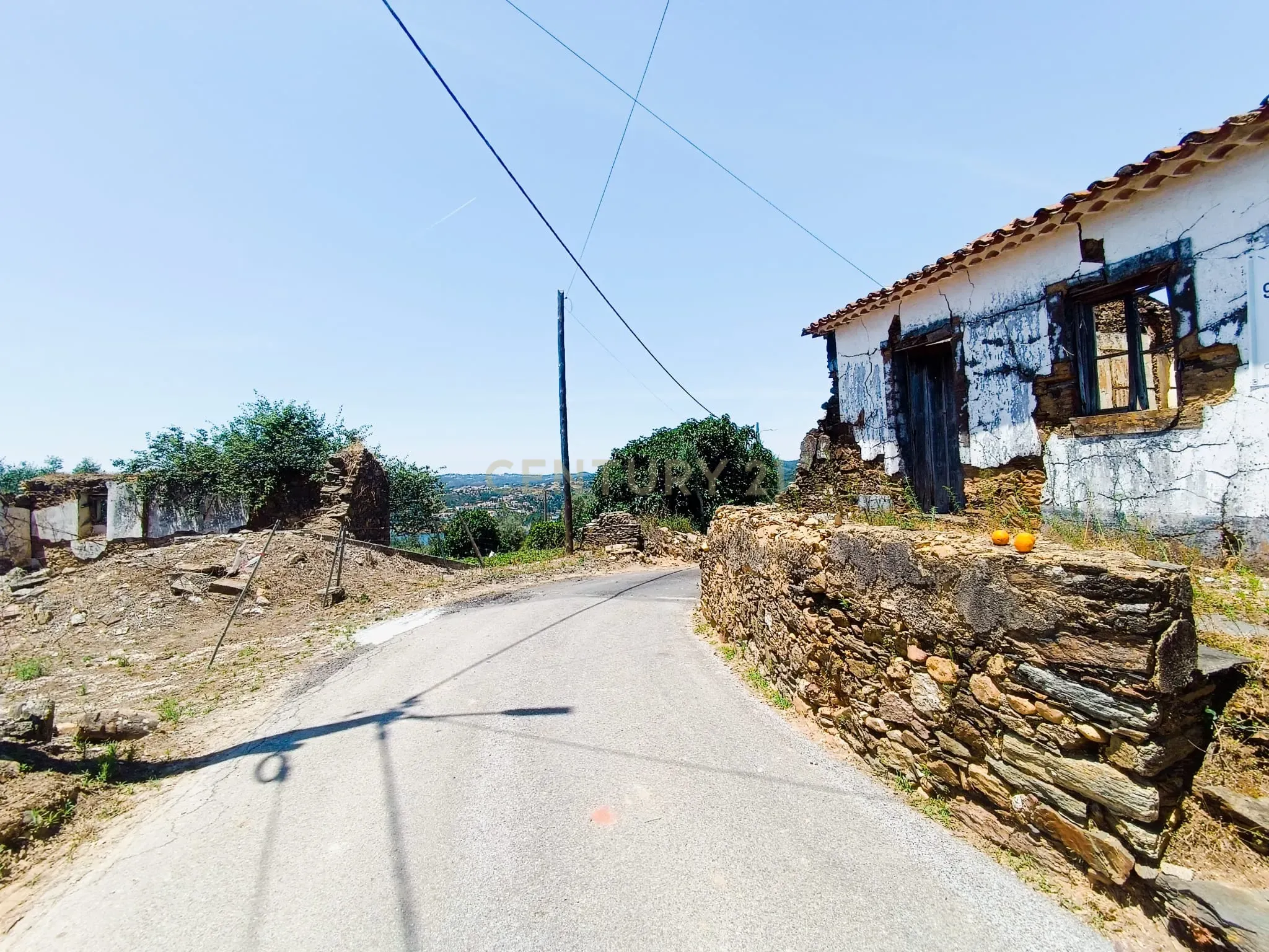 Magníficos terrenos com vista para o Rio Zêzere e a Albufeira de Castelo de Bode - DESCIDA DE PREÇO - Image 24