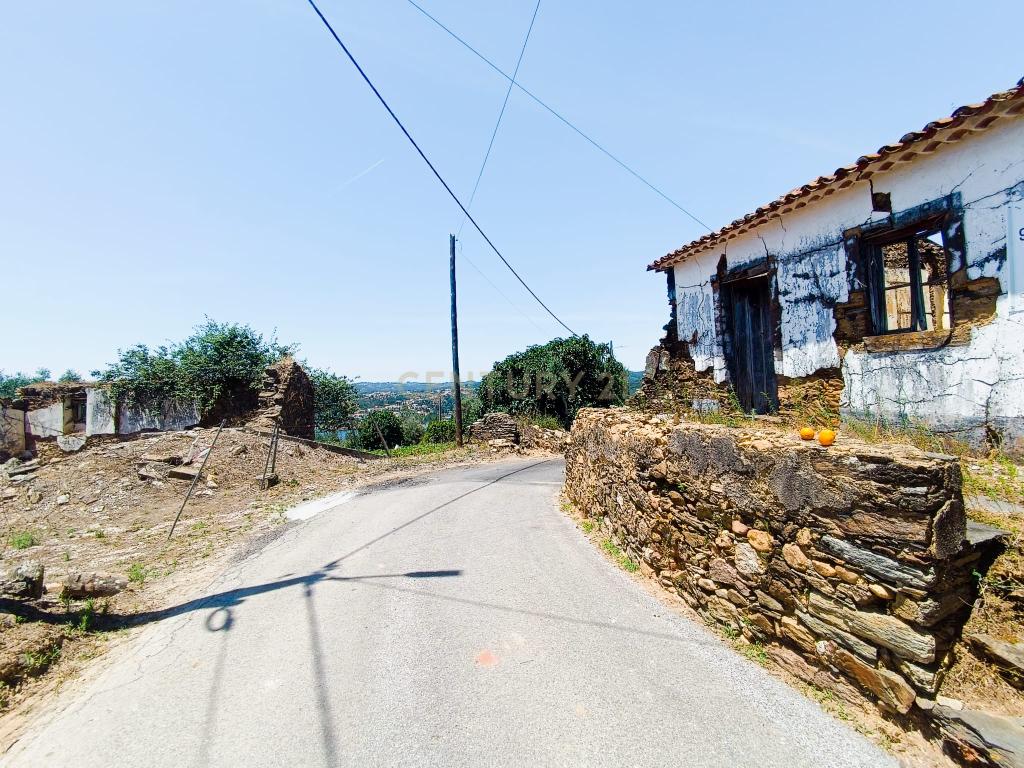 Magníficos terrenos com vista para o Rio Zêzere e a Albufeira de Castelo de Bode - DESCIDA DE PREÇO - Image 24