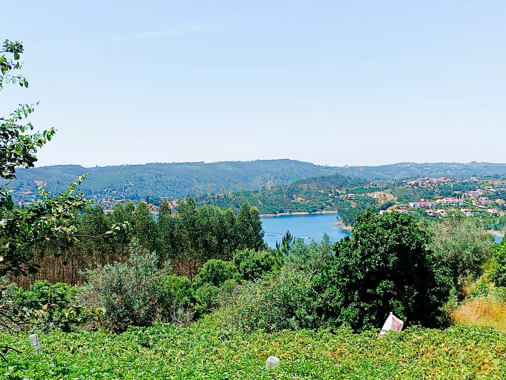 Magníficos terrenos com vista para o Rio Zêzere e a Albufeira de Castelo de Bode - DESCIDA DE PREÇO - Image 37
