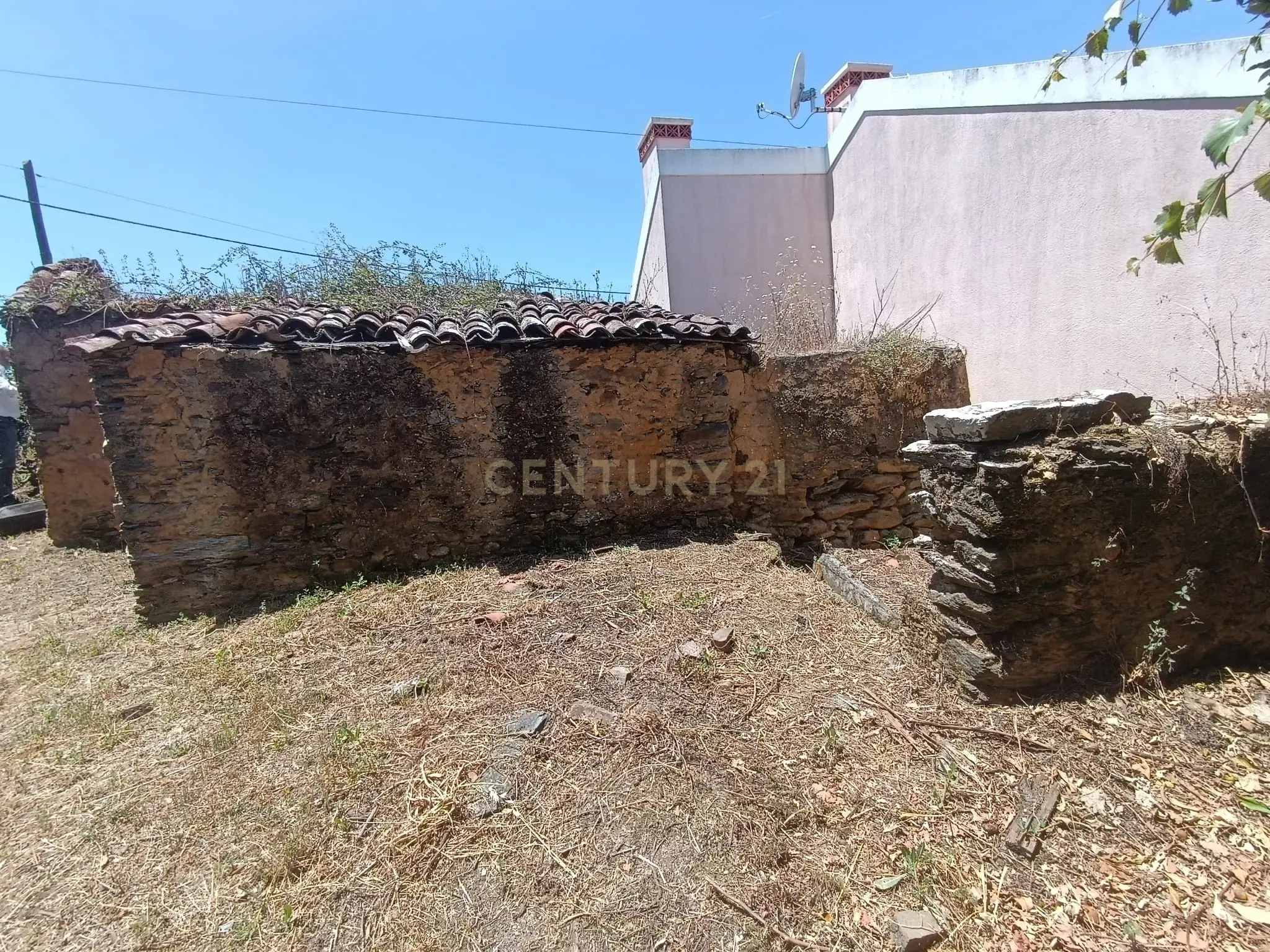 Magníficos terrenos com vista para o Rio Zêzere e a Albufeira de Castelo de Bode - DESCIDA DE PREÇO - Image 35