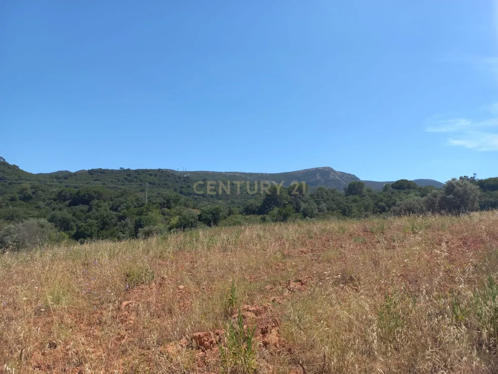 Terreno com 6,23ha na Arrábida - um verdadeiro Oásis em plena Serra e na proximidade do Mar - Image 16
