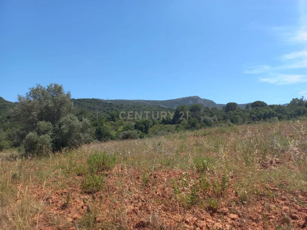 Terreno com 6,23ha na Arrábida - um verdadeiro Oásis em plena Serra e na proximidade do Mar - Image 8
