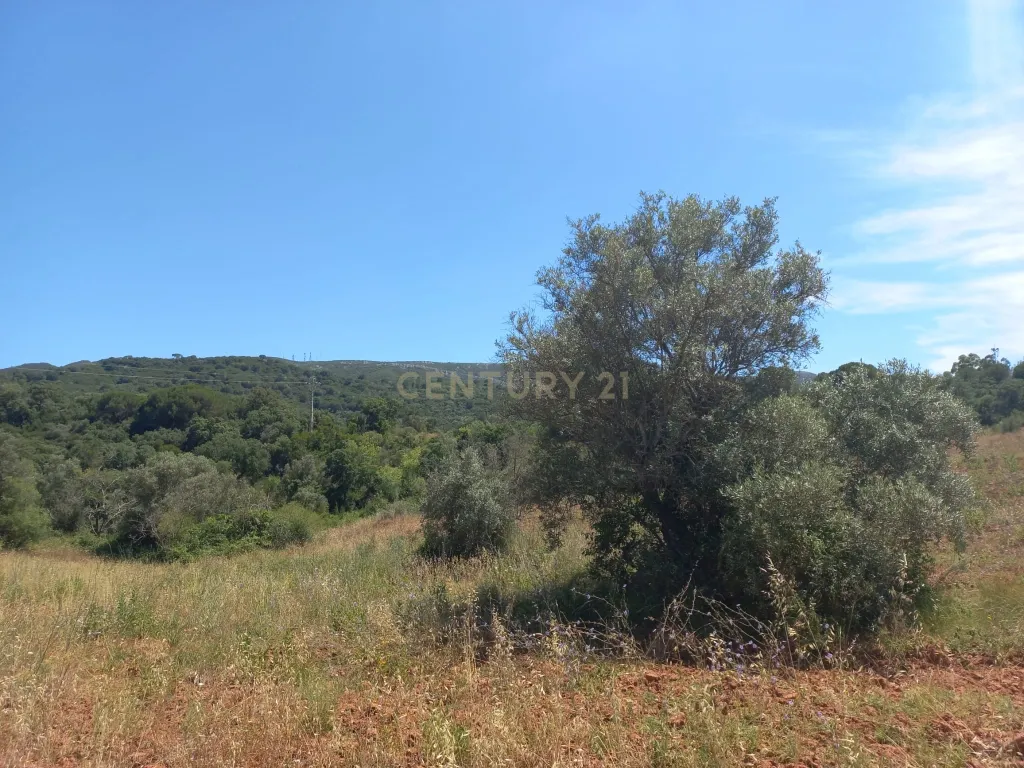 Terreno com 6,23ha na Arrábida - um verdadeiro Oásis em plena Serra e na proximidade do Mar - Image 10